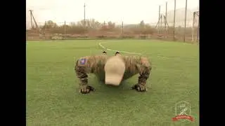 QPT(Qualification physical test) - ISAF 2018