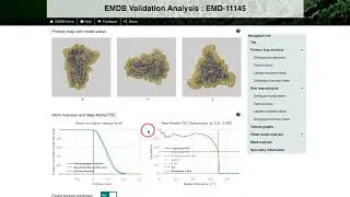 EMDB Validation Analysis Pages