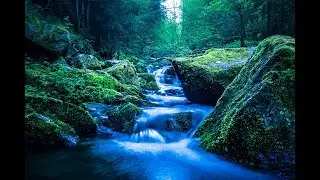 Flusslauf