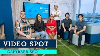 VIDEO SPOT  CAPYBARA SEO - Especialistas en Posicionamiento Web