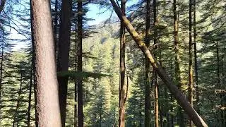 Landour Walk