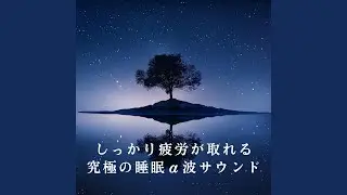 Shadows of Soothing Night