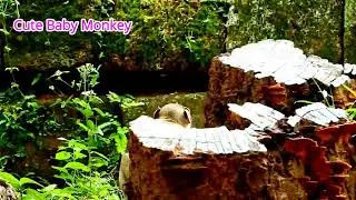 Poor Janna cry temper fast run angry MOm hurt her denied milk | little girl Janna cry break hearrt