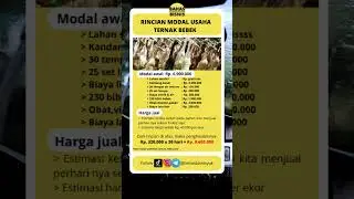 Rincian modal usaha ternak bebek