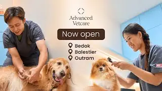 Singapore One-Stop Vet Centre at Bedok, Balestier and Outram