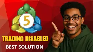 Fix &ldquo;Trading Disabled&rdquo; in MetaTrader 5 (2025 1-Minute Solution!)