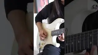 I love camera audio