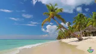Paradise Beach : Relaxing Ocean Sounds 🌊 For Sleep, Study, And Chill #perfectbeach 🌴
