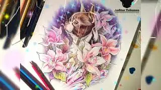 💎Питомник AnStar Talisman💎 Lettera 