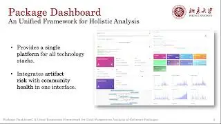 Package Dashboard: A Cross-Ecosystem Framework for Dual-Perspective Analysis of Software Packages
