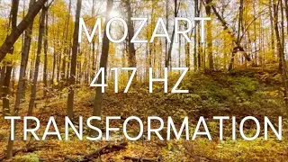 Mozart Allegratta Andante 417 Hz | Classical Music & Frequency | Music to Read, Write, Study & Focus