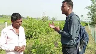 CUSTOMER FEEDBACK OF LEMON NABEEN KISHA BIO TECHNOLOGIES PVT LTD