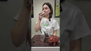 🌱 У Дун Дань Цун Хун Ча