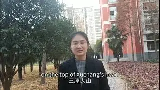 Introduction of Xuchang Hair Product Wig City of China