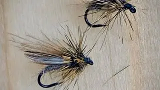 Montage mouche  sedge gris Fly tying