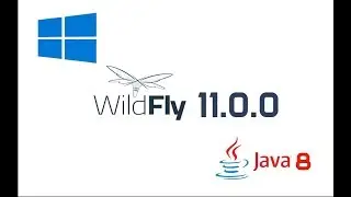 WildFly 11 Installation in Windows 10 with Oracle JDK 8 (Java 8)