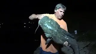 The Return Of Catfish Dave