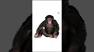 video rokh ke dikhao 😱😱 #trending #shortvideo