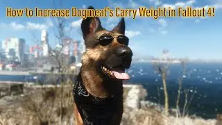 How to Increase Dogmeat's Carry Weight in Fallout 4!