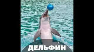 Russian language: words, pronunciation and examples. Number 72