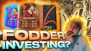 FODDER INVESTING OR FLIPS??