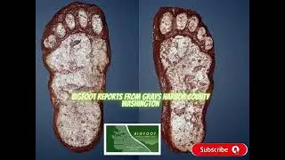 MIND-BLOWING BIGFOOT REPORTS from WASHINGTON STATE!