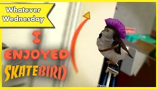 I enjoyed SkateBIRD!