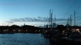 The King Bee   - Susie . Urk .