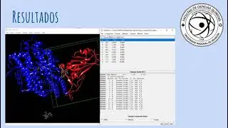 Docking Molecular Comparativo Spike SarsCoV2 e/ Hesperidina y Citral Cedron Kapi&acute;i