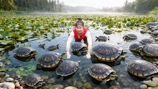 Huge Harvest! 300 Soft-Shelled Turtles After 9 Months Raising on the Farm | Going to Market to Sell