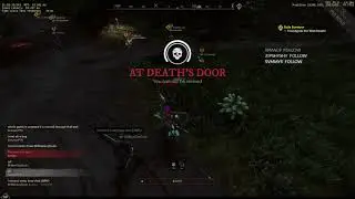 One shot kill 11k Critical Hit [New World MMO]