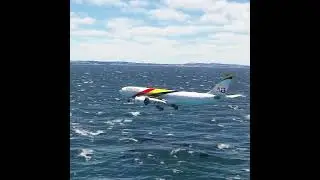 a pilot's dangerous actions for the safety of passengers eps 00266