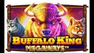 Online slots - Buffalo bonus hunt, 8 games