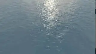 Water Surface Simulation - Maya & Arnold (Loopable)