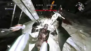Montage 25