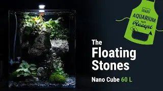 THE FLOATING STONES | 60 L Nano Cube | Aquarium nach Rezept | DENNERLE