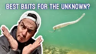 Fishing A New Lake by Mistake? Such a gamble! 