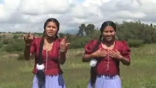 LAS ROSAS DEL AMOR en las cantinas