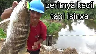 Sampai panik!! ikannya narik ke bawah jembatan