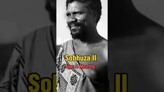 Top 10 Youngest king's In History #shorts