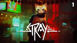 Stray | Part 1: Dead City (No Commentary, PS5)