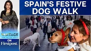 Hundreds Take part in Spain's Dog Walk Against Animal Abandonment | Vantage with Palki Sharma