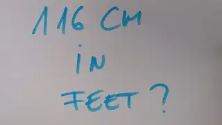 116 cm in feet?