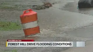 Forest Hill Dr
