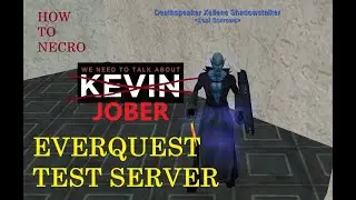 How to EverQuest Necromancer - JOBER.  Lets look at our pet options.