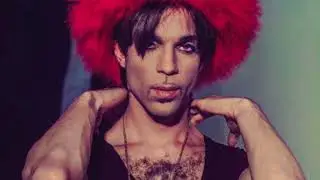 Prince - Peak the Technique/Martial Law