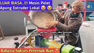 Mesin Pelet Apung Extruder Lokal Pencetak Pelet Ikan Apung Diesel 24PK Murah Di Kediri Jawa Timur