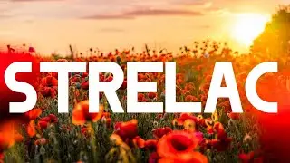 STRELAC 🧡 VAMA JE POTREBNA SLOBODA HITNO PROMENITE ENERGIJU TAROT ČITANJE HOROSKOP LJUBAV 