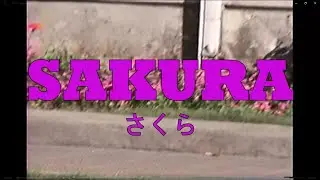 JAPOGANG - SAKURA | Tamaxi EP