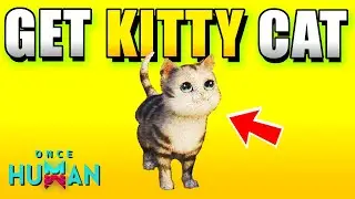 Once Human How to Get Cat / Kitty Pet Deviant (Extradimensional Cat)
